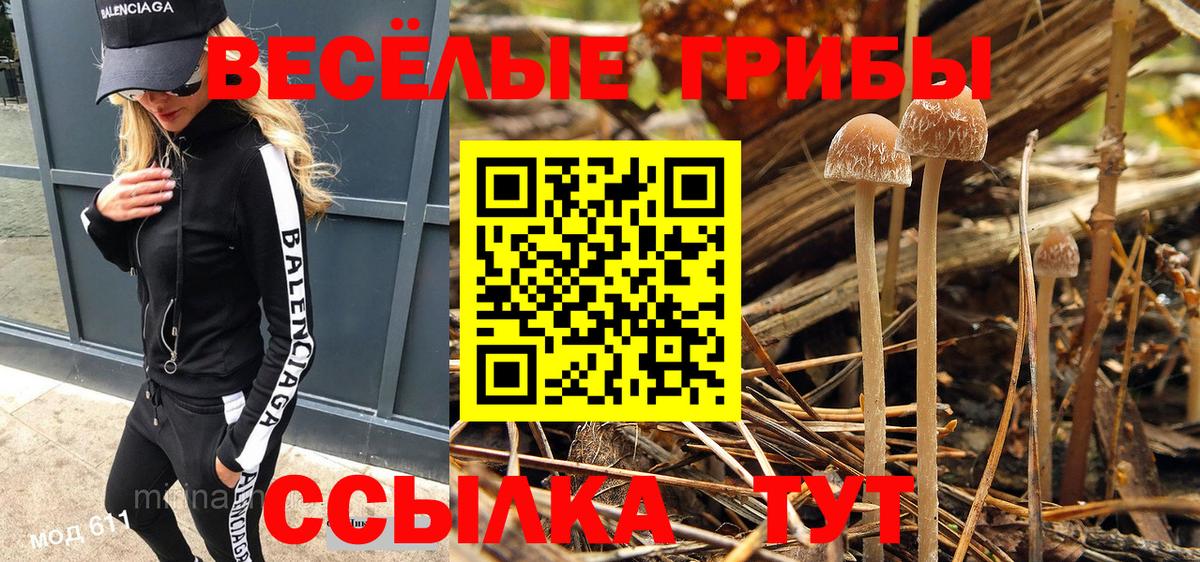 Мефедрон  Вход с VPN  Каннабис  Мяу-Мяу  Железноводск  Наркошоп  Cocaine  ГАШИШ  Конопля 