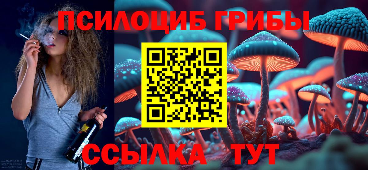 Псилоцибиновые грибы MAGIC MUSHROOMS  Галлюциногенные грибы Cubensis  Железноводск 
