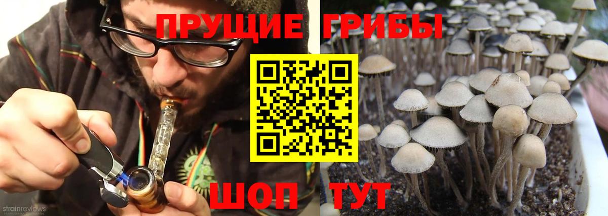 Псилоцибиновые грибы мухоморы  Вход с VPN  Железноводск 